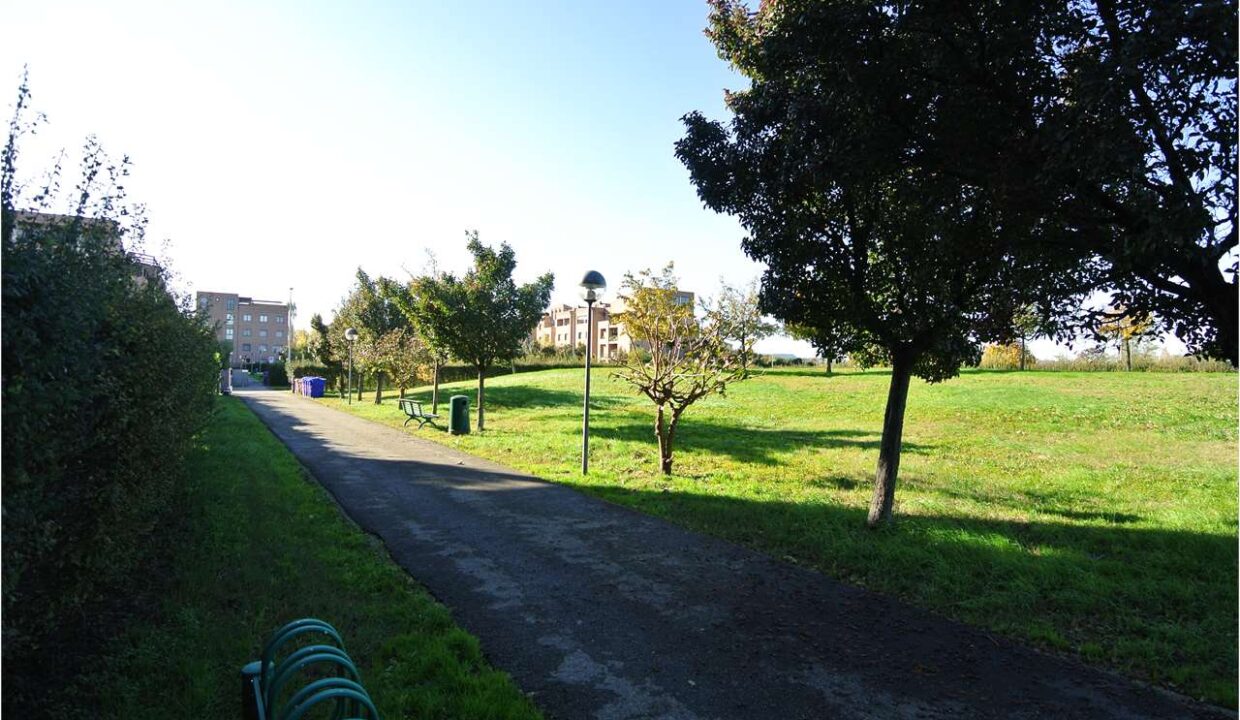 imm_16293-20250401114017-1280-