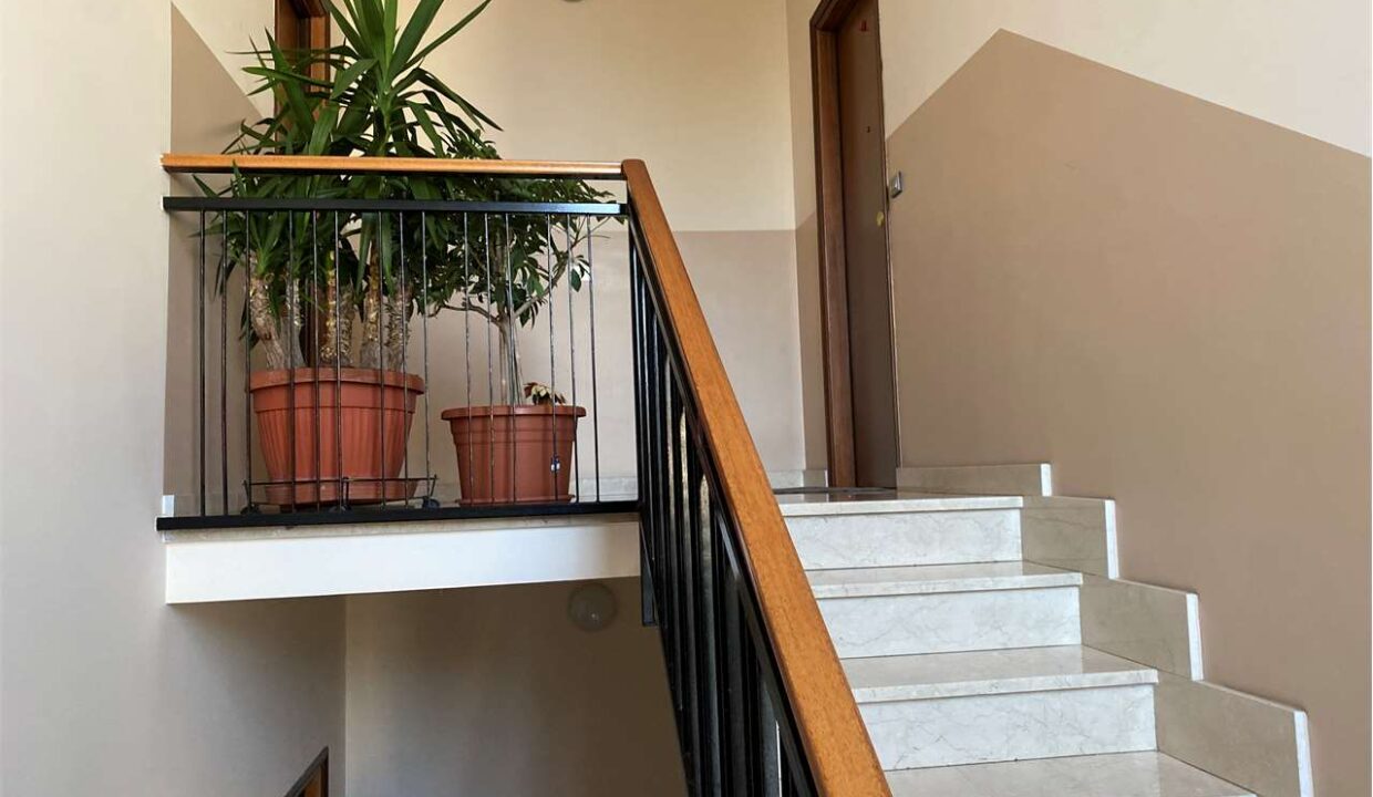 imm_18411-20251128113317-1280-