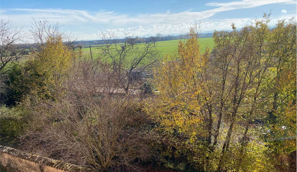 imm_18448-20251128114517-1280-