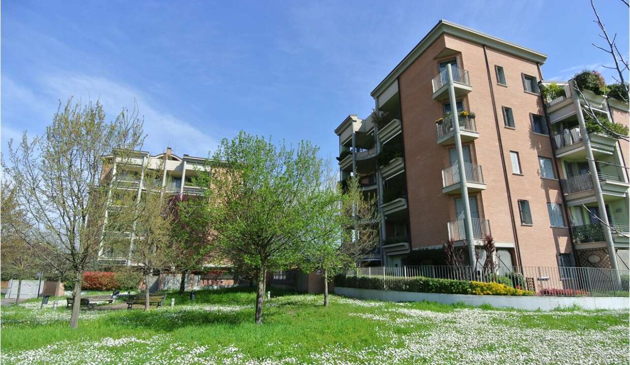 imm_17319-20250415110325-1280-