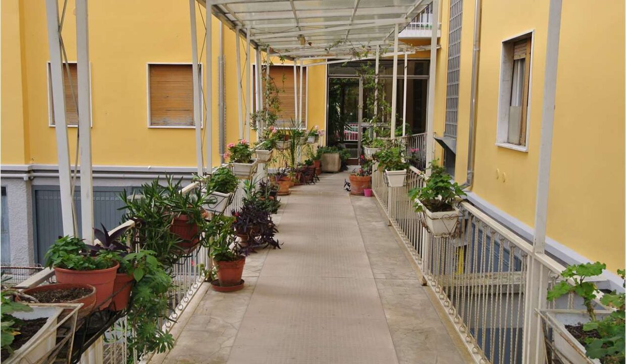 imm_18365-20251126165809-1280-