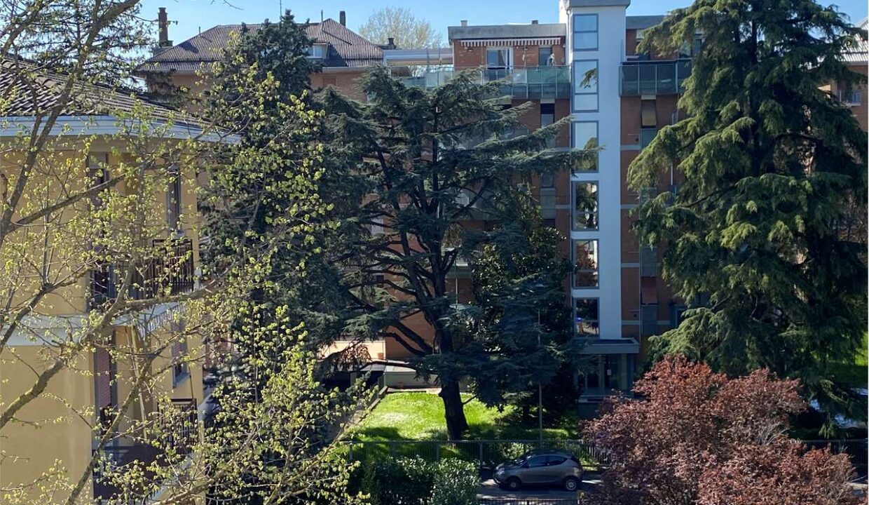 imm_17291-20250407163212-1280-