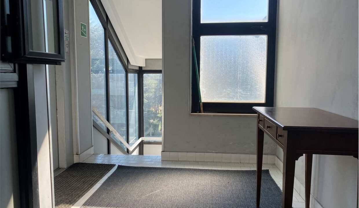 imm_17294-20250407162800-1280-