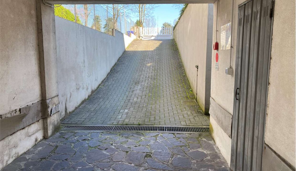 imm_17301-20250407163331-1280-