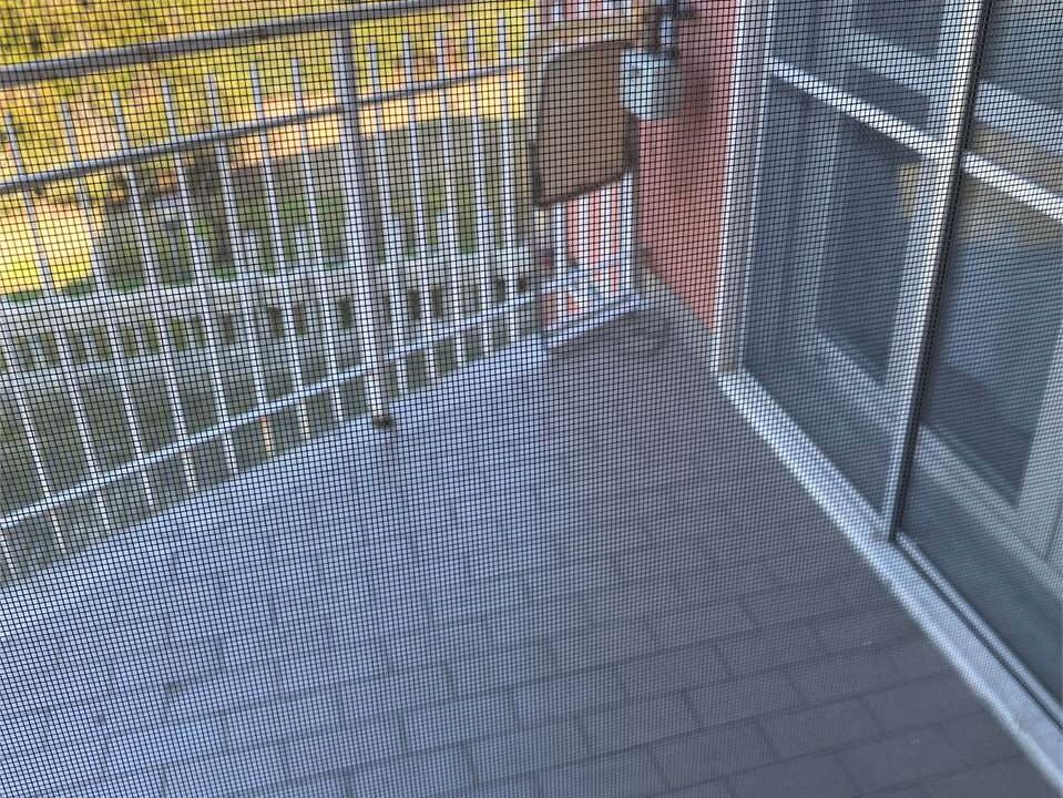 imm_18540-20260119111849-1280