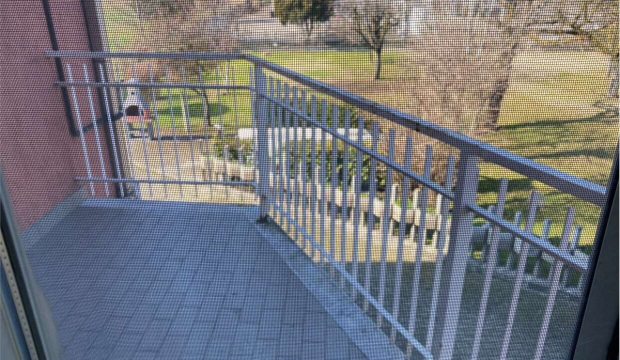 imm_18541-20260119111917-1280-