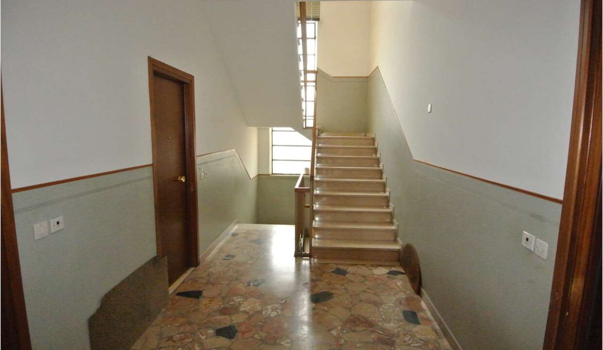 imm_18582-20260119145544-1280-