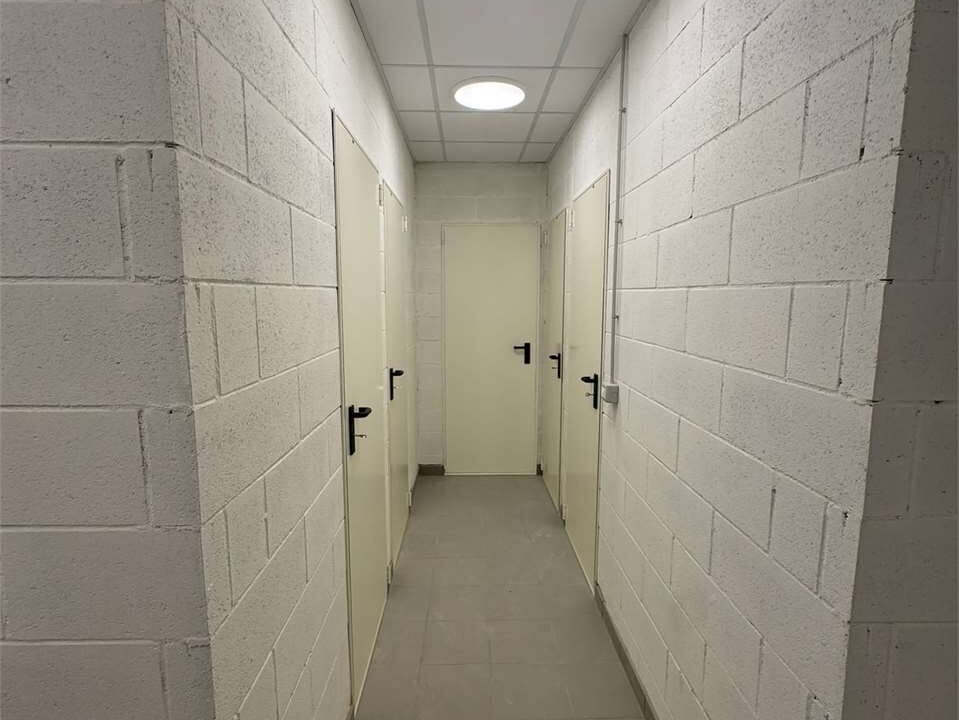 imm_18761-20260210180823-1280