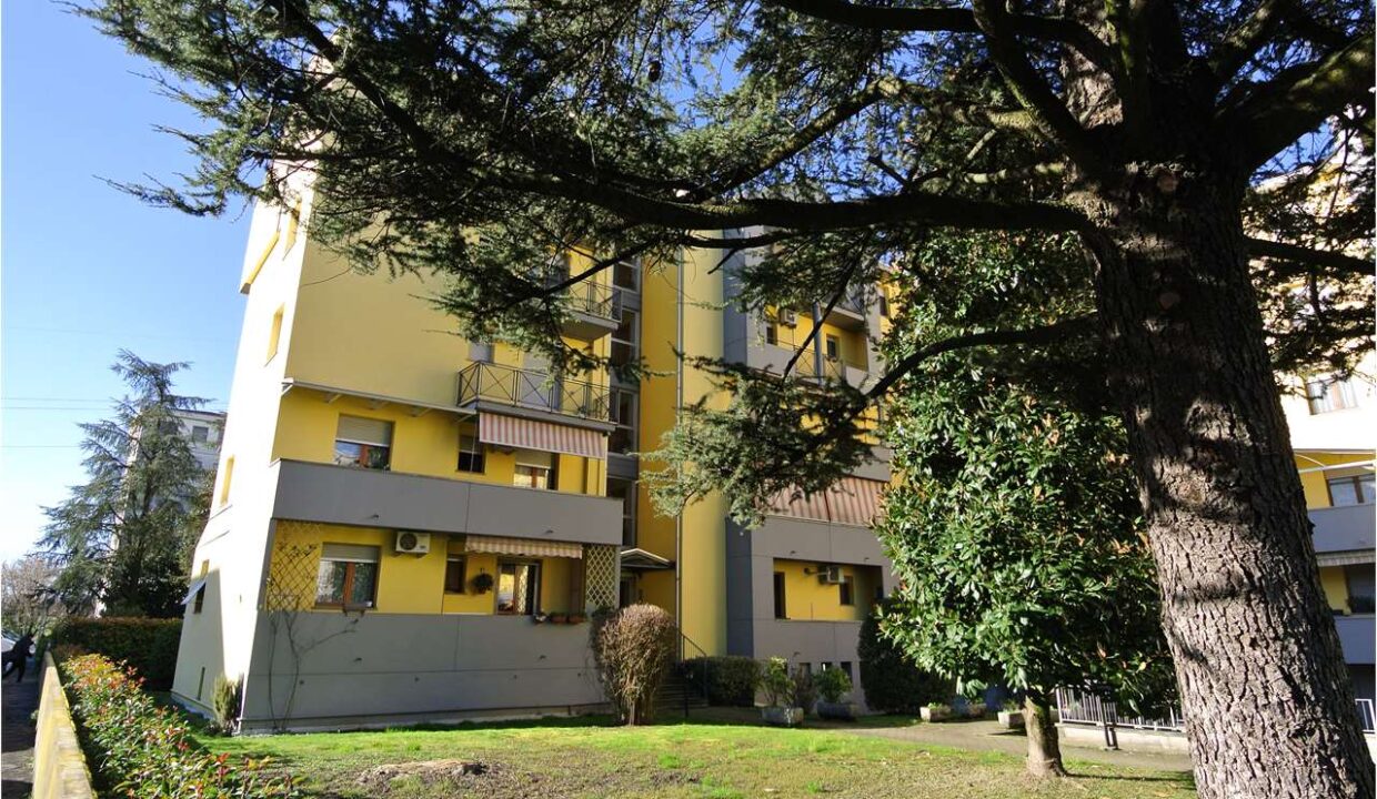 imm_18865-20260217193257-1280-