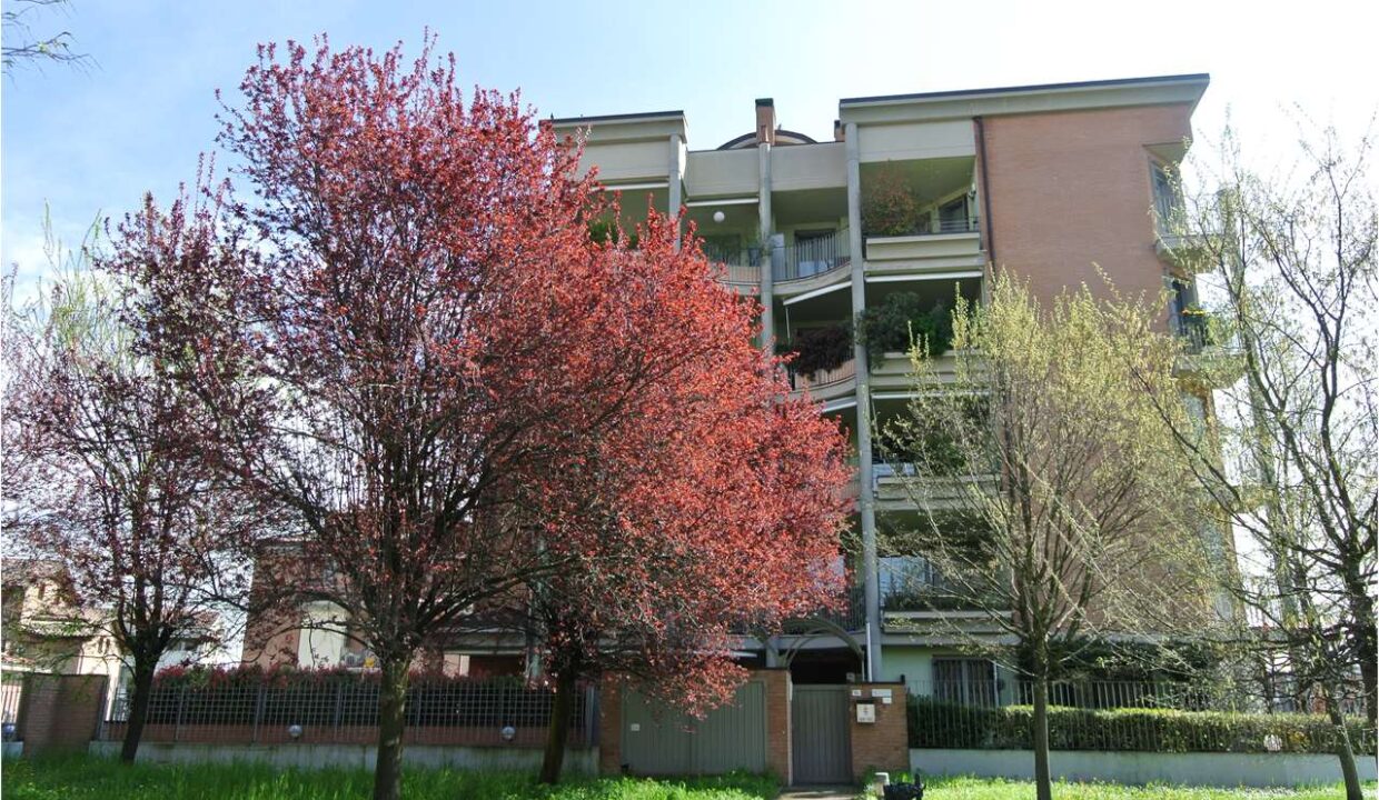 imm_17318-20250930090851-1280-