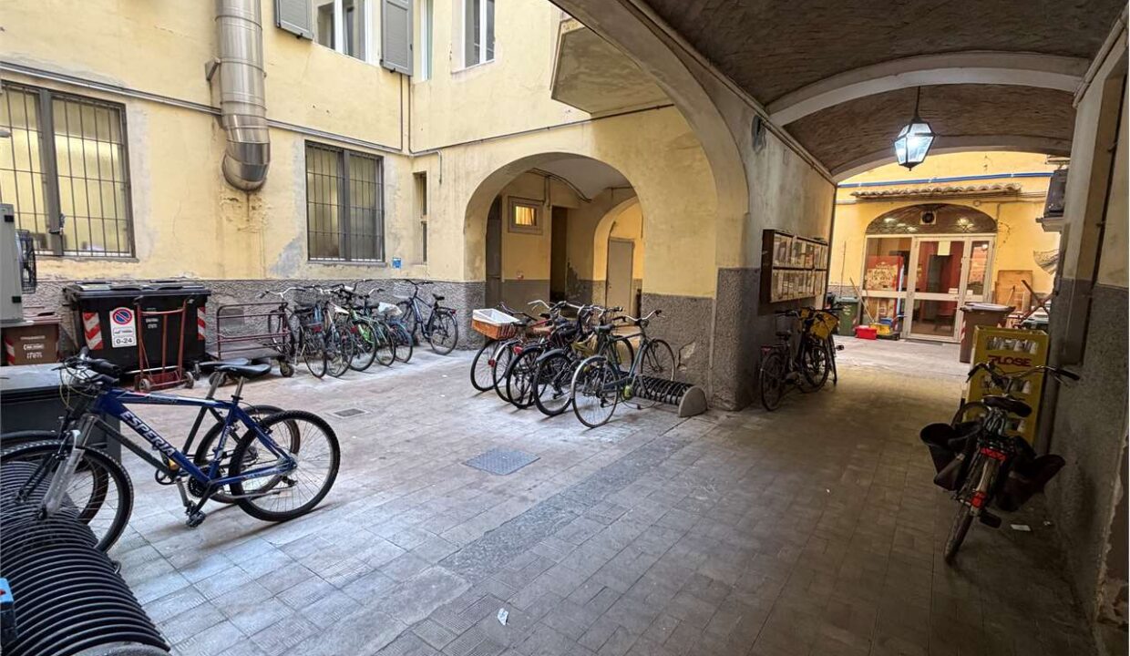 imm_18981-20260319120925-1280-