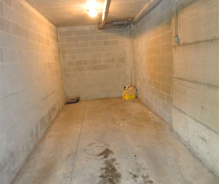 imm_19001-20260323161554-1280