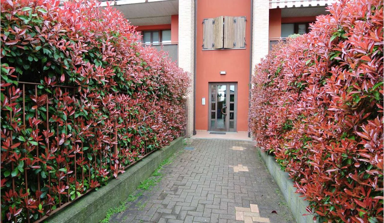 imm_19035-20260327183321-1280-