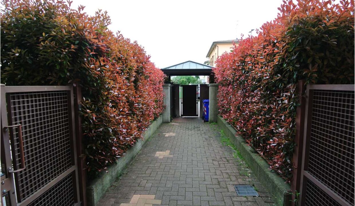 imm_19036-20260327183323-1280-