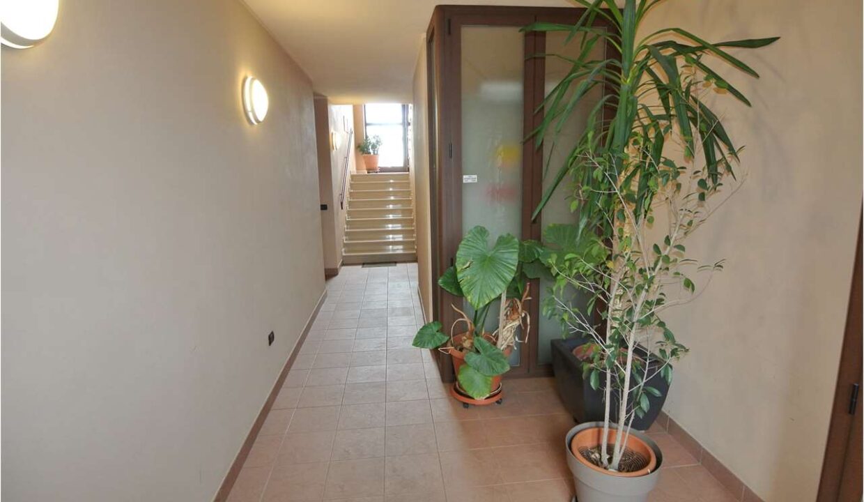 imm_19037-20260327183329-1280-