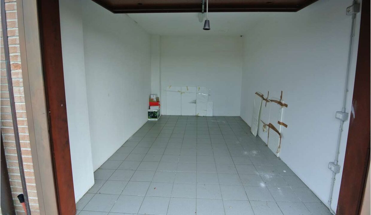 imm_19059-20260327183729-1280-