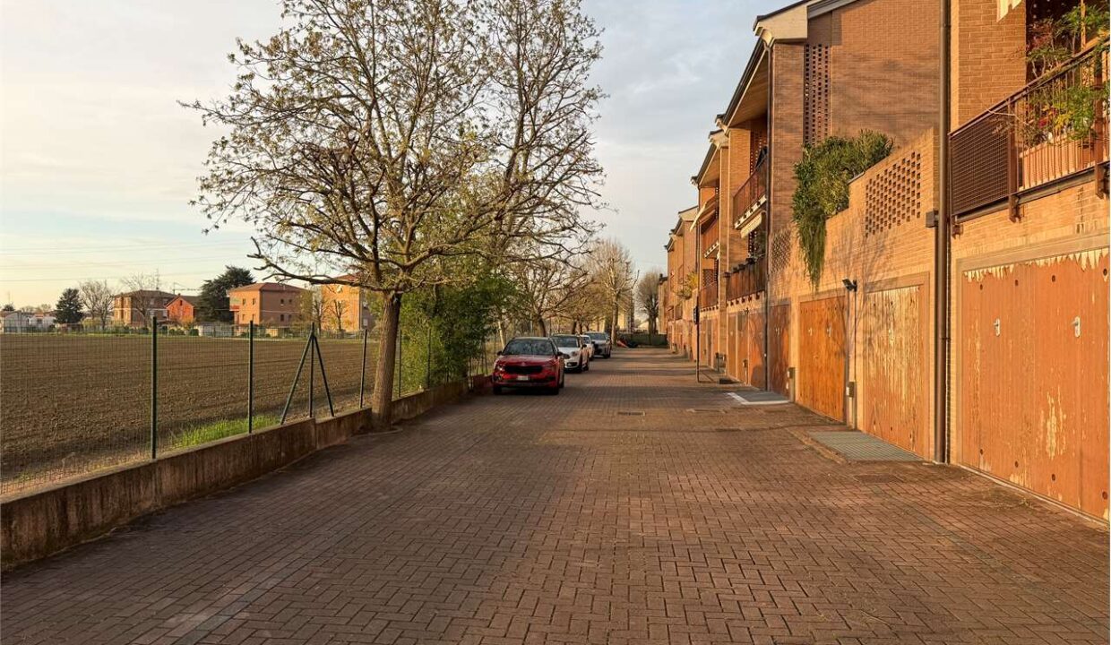 imm_19069-20260330091317-1280-