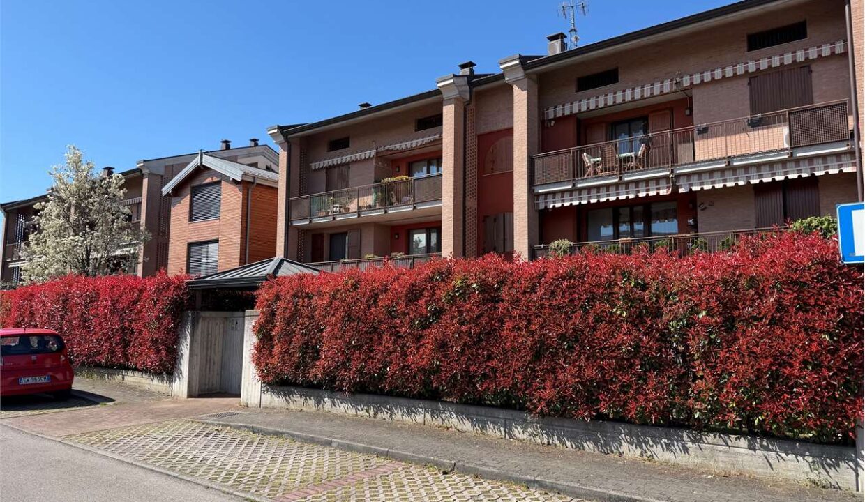 imm_19078-20260330154515-1280-