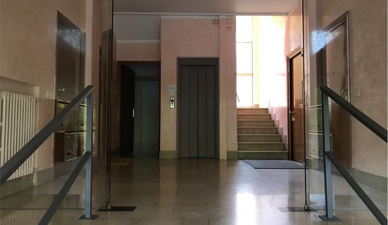 imm_11910-20221013191350-1280-