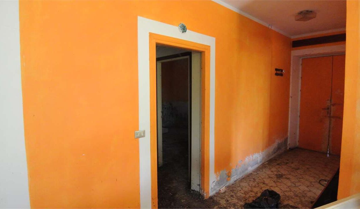 imm_19760-20260813164140-1280-